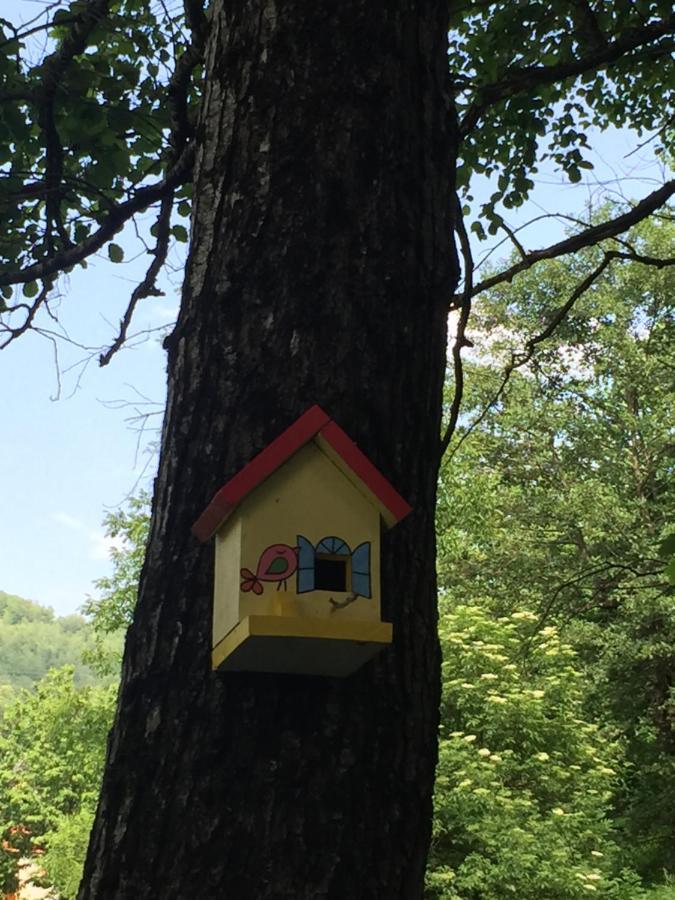 Eco Kutak Βίλα Mojkovac Εξωτερικό φωτογραφία