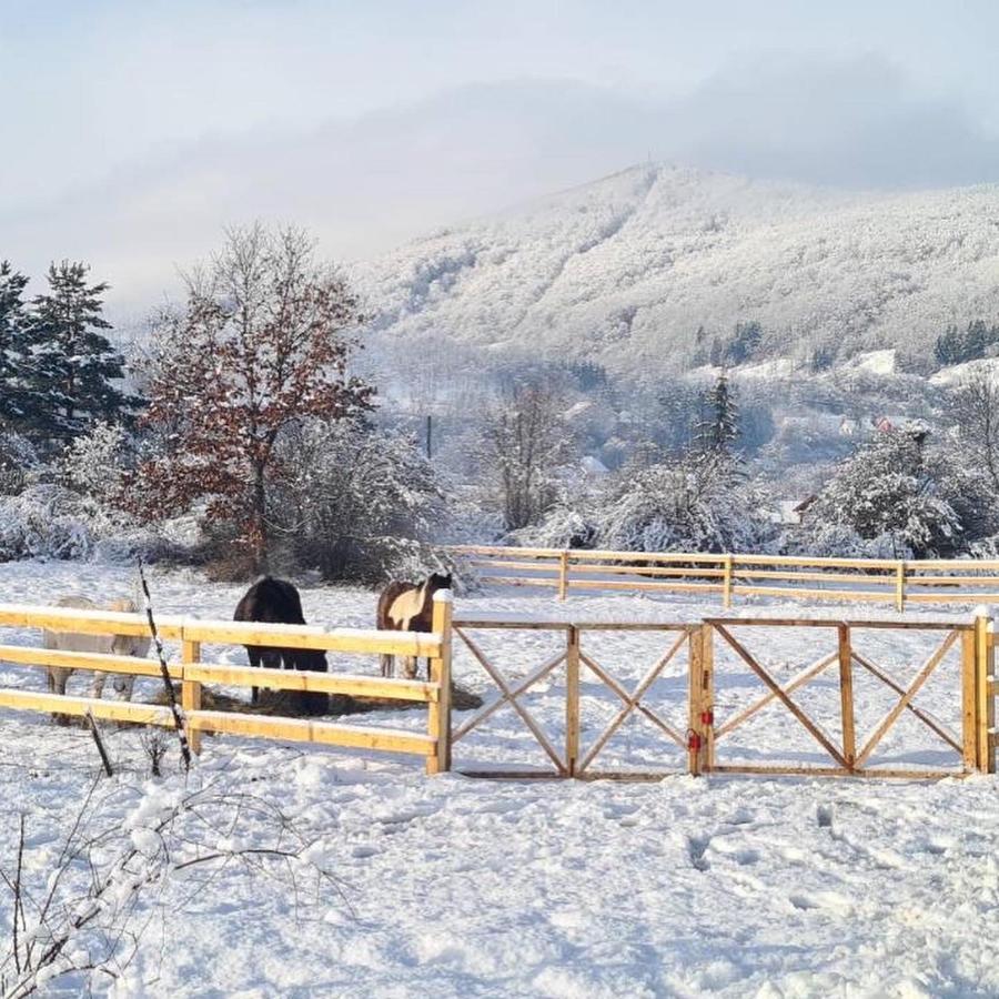 Eco Kutak Βίλα Mojkovac Εξωτερικό φωτογραφία
